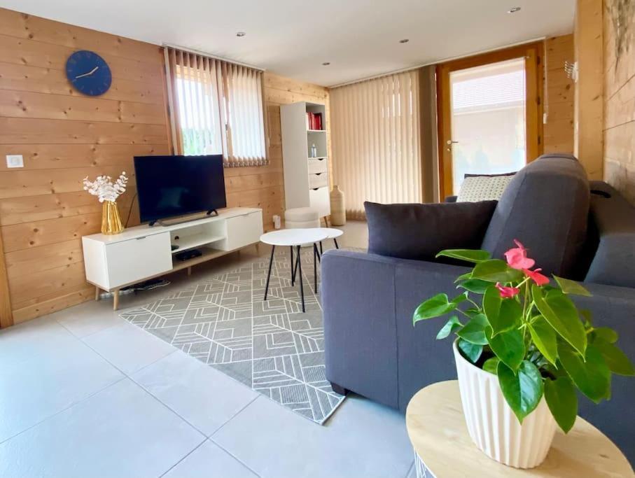 Androsace Appartement Dans Chalet Bois Avec Jacuzzi Privatif Terrasse Et Vue Montagne Les Villards-sur-Thones Luaran gambar