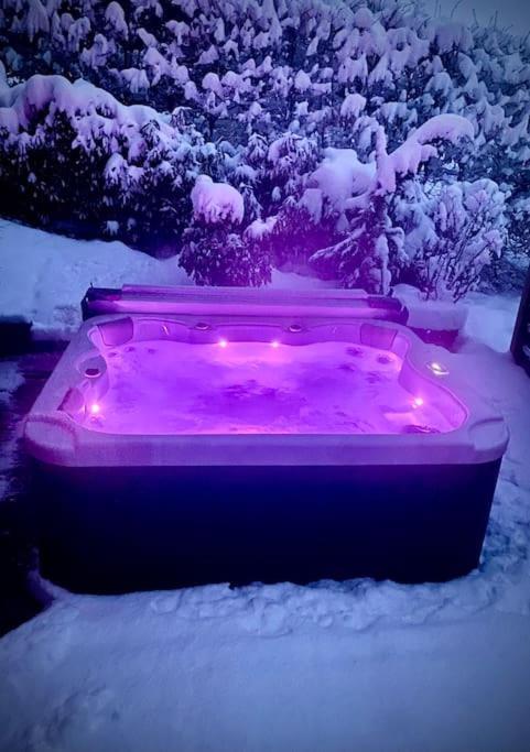Androsace Appartement Dans Chalet Bois Avec Jacuzzi Privatif Terrasse Et Vue Montagne Les Villards-sur-Thones Luaran gambar